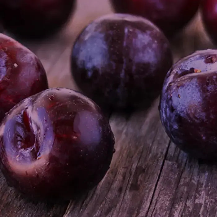 Good Gout Plum Fruit Puree 120g (6 Months) Urban Essentials Philippines