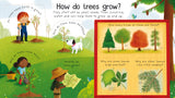 Usborne First Questions and Answers: Why do we need trees?