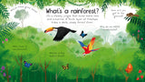 Usborne First Questions and Answers: Why do we need trees?