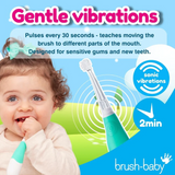 Brush Baby - Babysonic Electric Toothbrush (0-18 mos)
