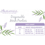 Autumnz Mesh Panty (5’s)