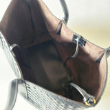 BV-Inspired PInacoteca