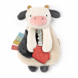 Itzy Ritzy Lovey Plush and Teether Toy