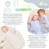 Dreamland Baby Weighted Sleep Swaddle & Sack (6-12)