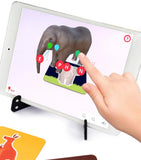 PLAYSHIFU AR Flashcards