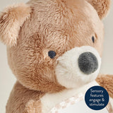 Itzy Bitzy Mirror Sensory Tummy Time