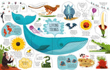Usborne Lift-the-Flap General Knowledge