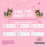 Pupaholic Charcoal Female Diapers 10's