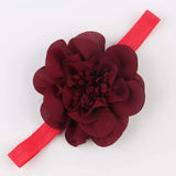 Blooming Wisdom Sofia Headband