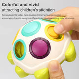 Little Fat Hugs - Sliding Turtle