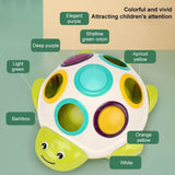 Little Fat Hugs - Sliding Turtle