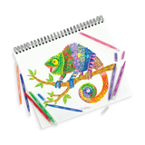 Ooly - Switch-Eroo Color Changing Markers (Set of 12)