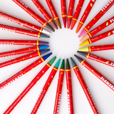 Flower Monaco - Fancy Colored Pencils (24 COLORS)