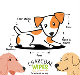 Pupaholic Charcoal Pet Wipes