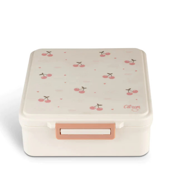 Citron - Grand Lunchbox with 4 Compartments And 1 Food Jar