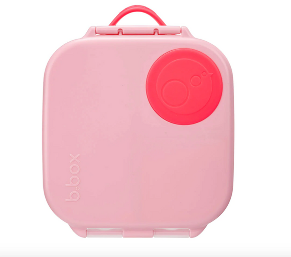 B. Box Mini Lunch Box