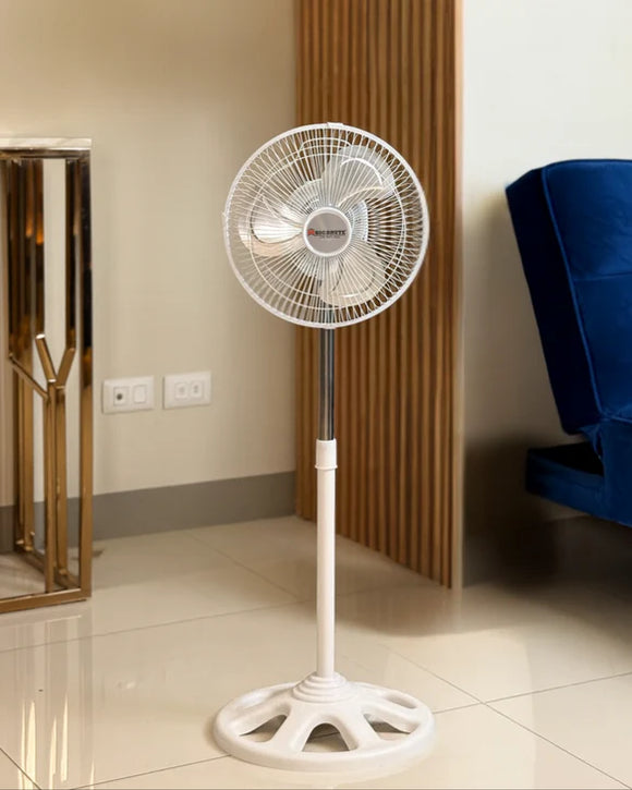 CLEARANCE: Big Brute 10