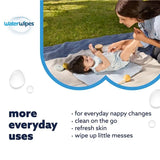 WaterWipes Biodegradable Pack of 4  x 60 pulls