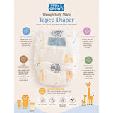 Little & Grown Pull Up Diapers 30's