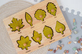 QToys Montessori Leaf Puzzle