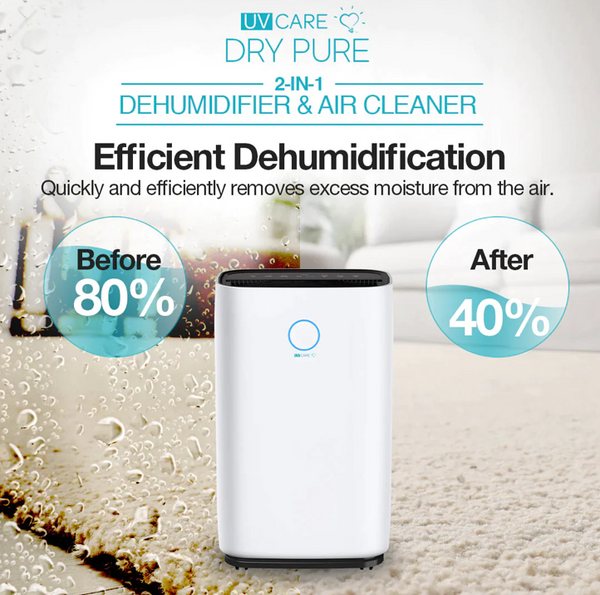 Pure air outlet dehumidifier